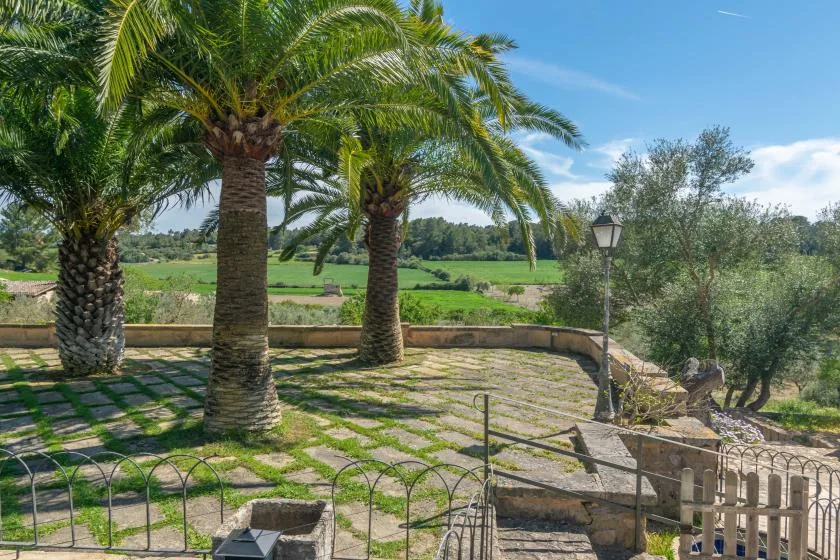 A sunny garden patio with palm trees, stone paving, and views of green fields.