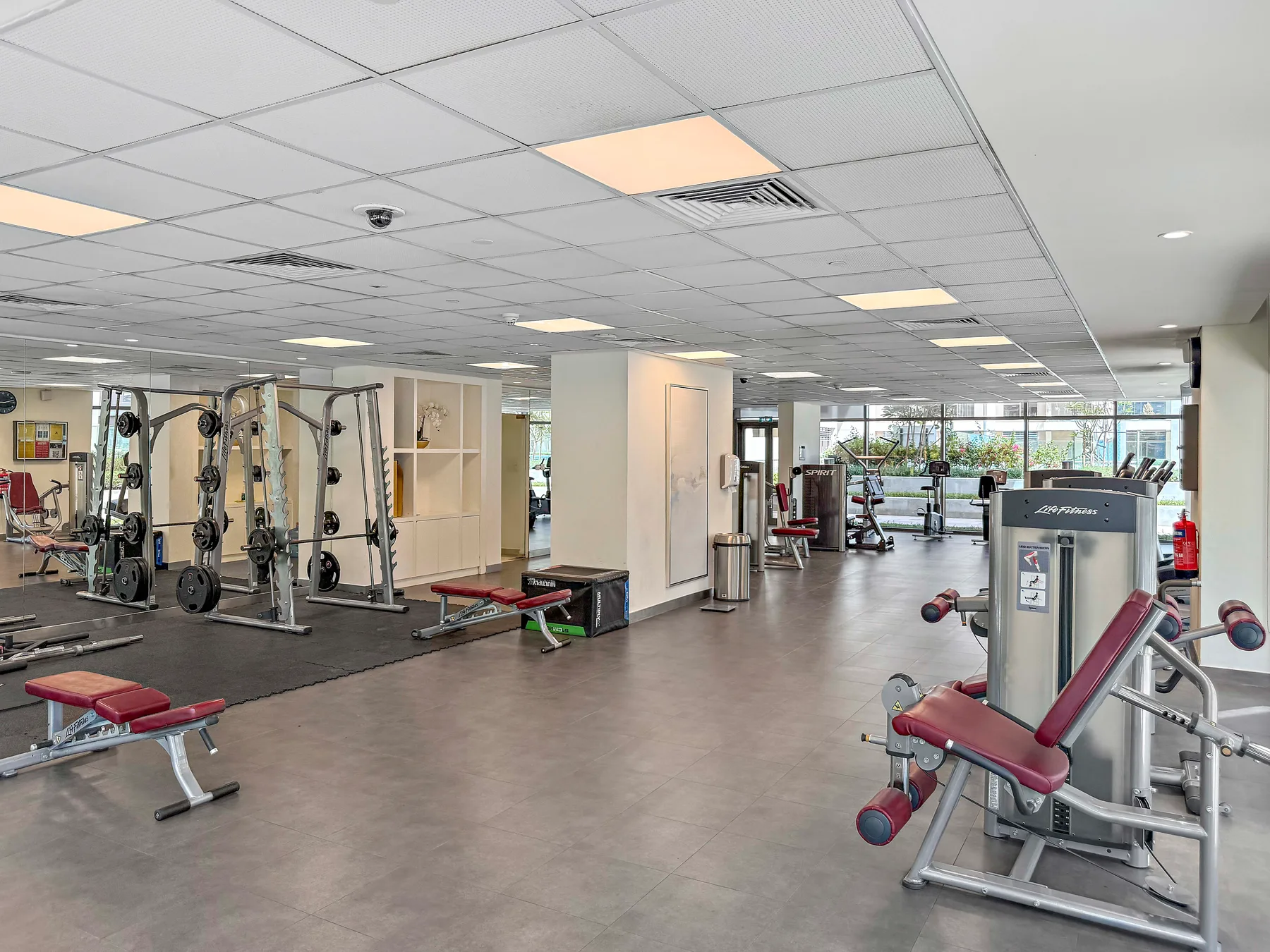 Un gimnasio con máquinas de ejercicio, pesas y grandes ventanas.