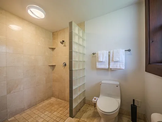 Un baño alicatado con ducha, separador de bloques de vidrio e inodoro.