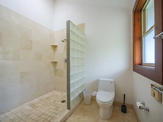 Un baño alicatado con una mampara de bloques de vidrio y un inodoro.