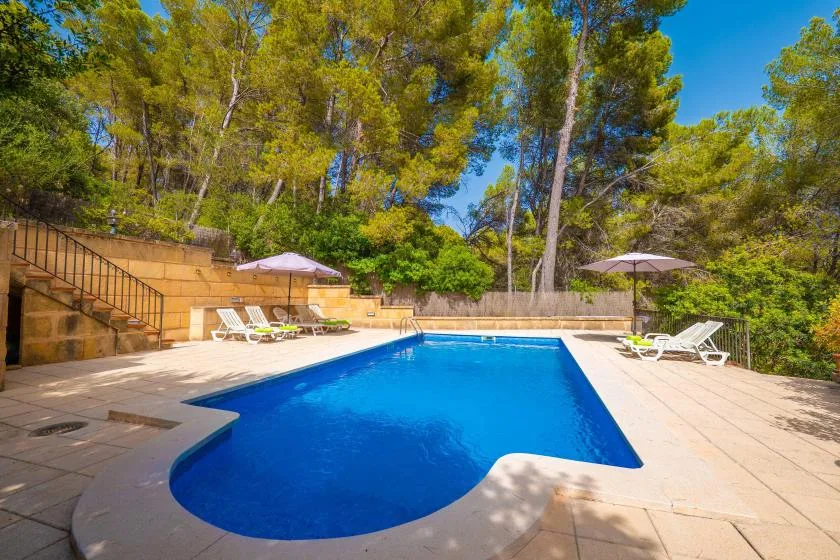 An outdoor swimming pool is surrounded by a paved deck and trees.