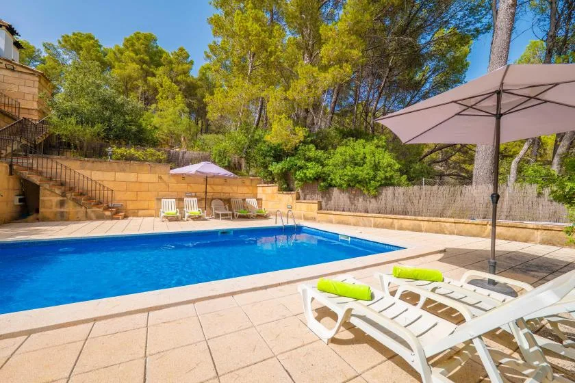An outdoor swimming pool is surrounded by a paved deck, lounge chairs, and trees.