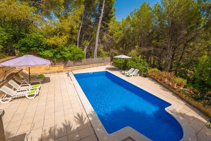An outdoor swimming pool is surrounded by a tiled patio, lounge chairs, and trees.