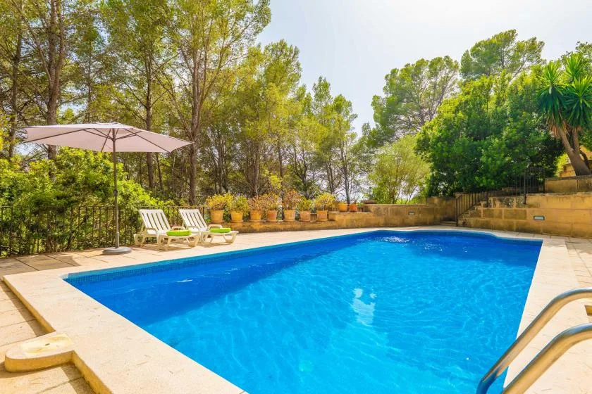 An outdoor swimming pool is surrounded by trees and patio seating.