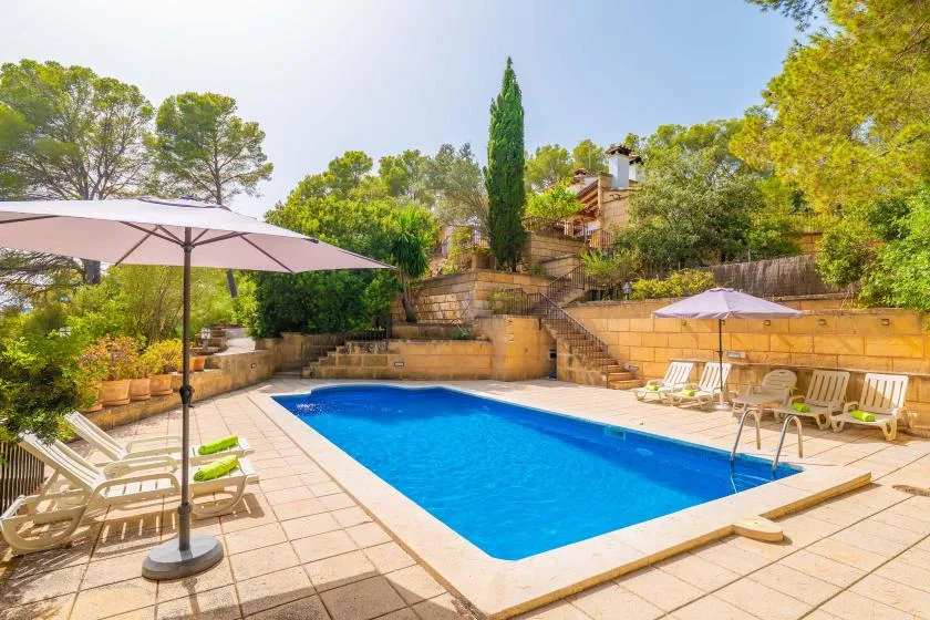An outdoor swimming pool is surrounded by a tiled deck, lounge chairs, and greenery.