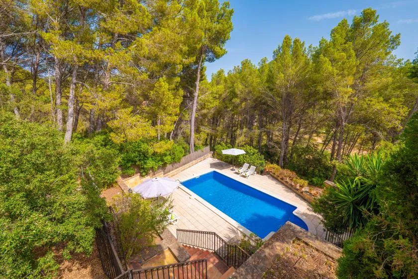 An outdoor swimming pool sits among trees, with a paved deck and loungers.