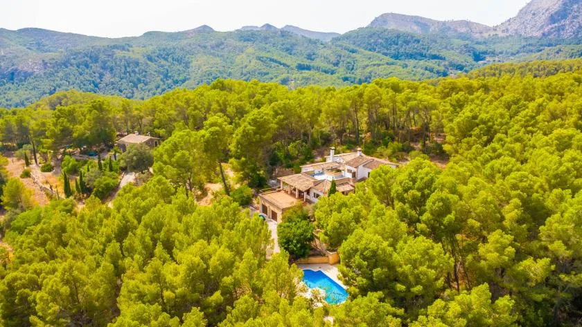 An aerial view of a house and pool surrounded by trees, with mountains beyond.