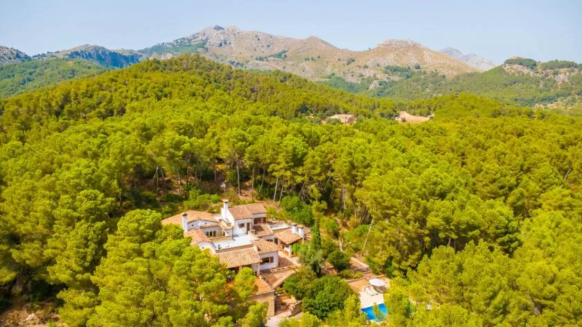 A house sits among dense green trees, with mountains rising in the distance.