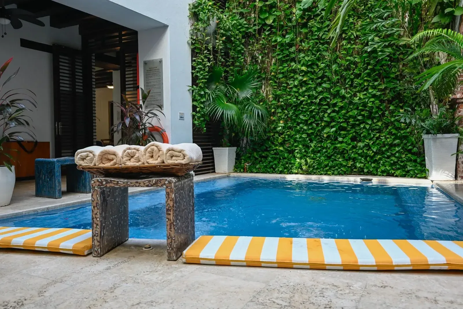 Casa Claver pool beside a vertical garden
