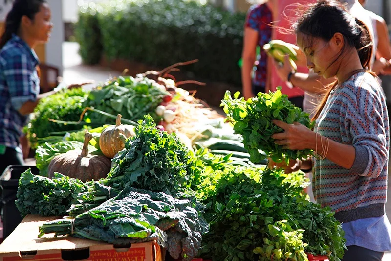 Varias personas compran verduras de hoja frescas en un mercado al aire libre.
