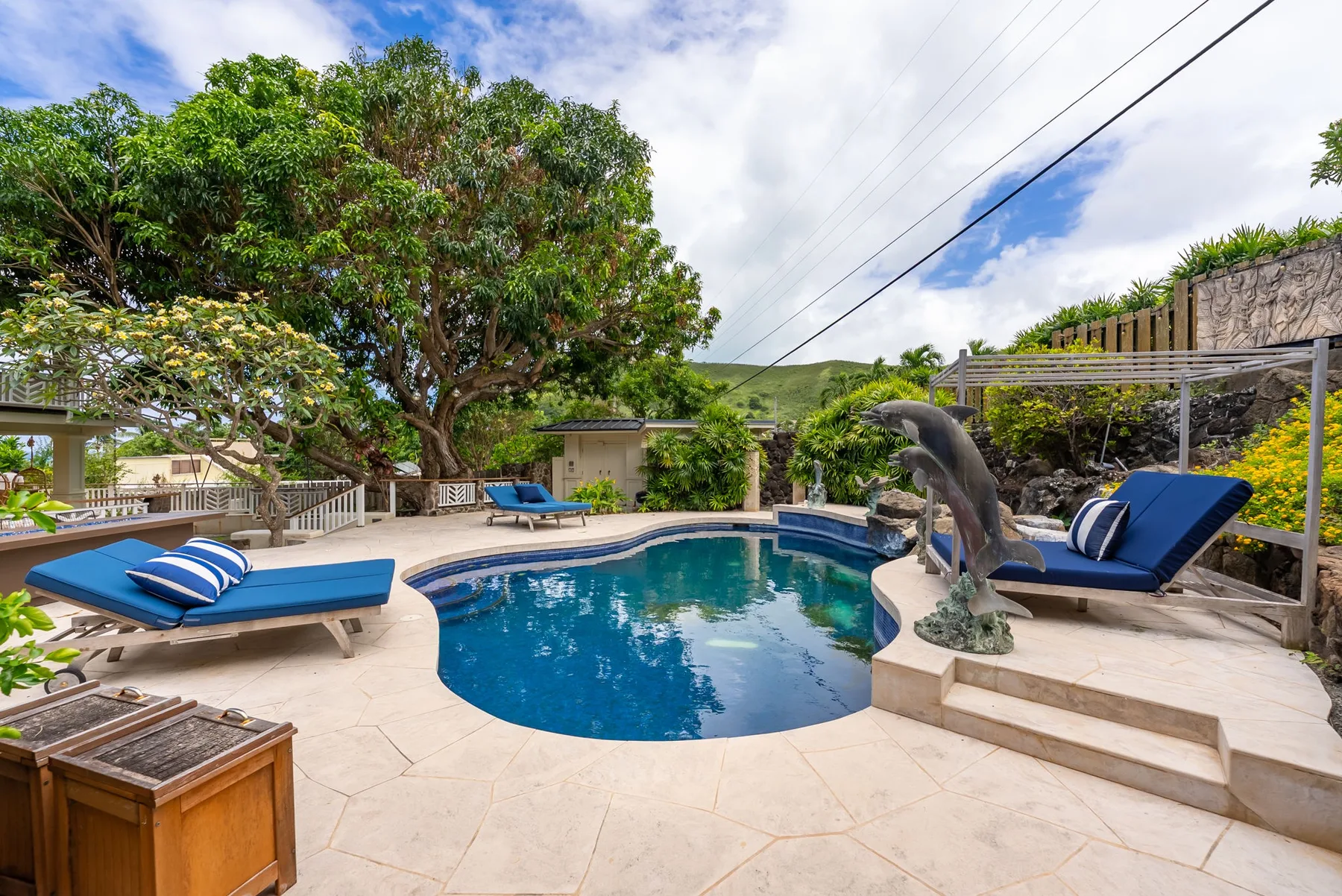 Una piscina al aire libre está junto a asientos de descanso y un gran árbol frondoso.