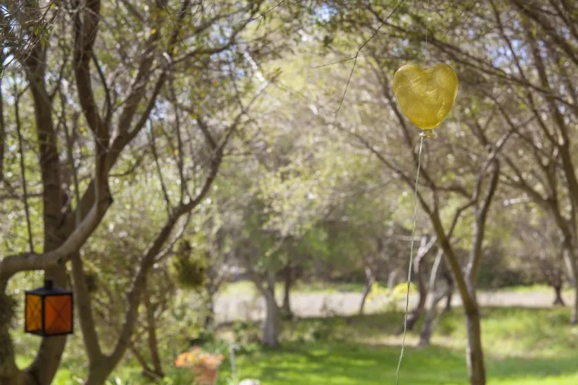 A leafy outdoor garden with a yellow balloon floating among the trees.