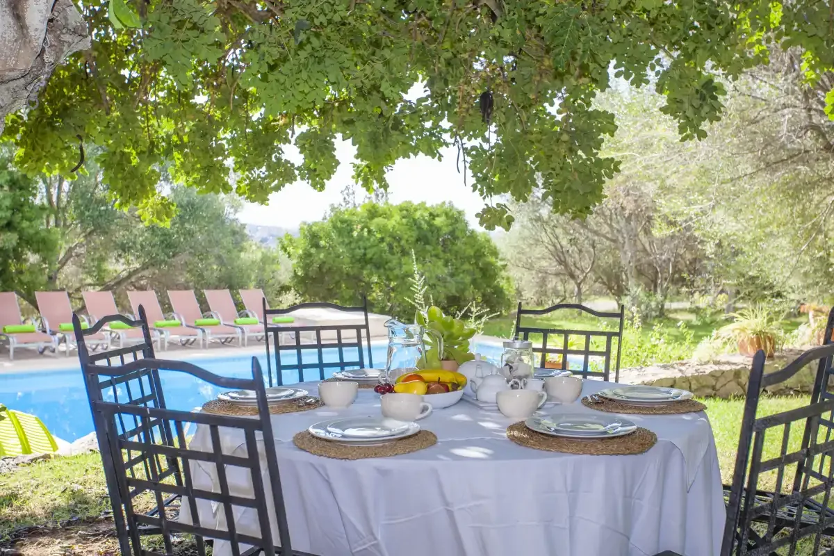 An outdoor dining table is set beneath a leafy tree beside a swimming pool.