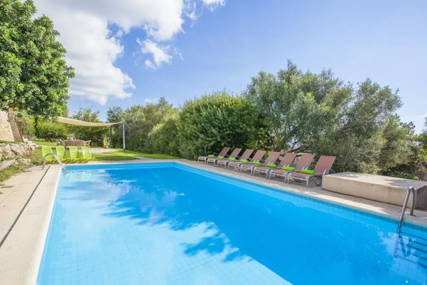 An outdoor swimming pool is surrounded by loungers and leafy trees.