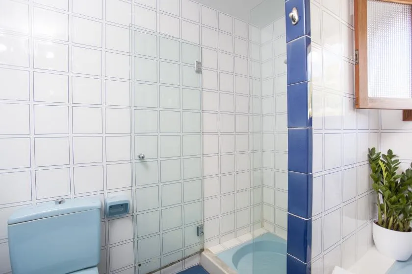 A tiled bathroom with a shower area, toilet, and potted plant.