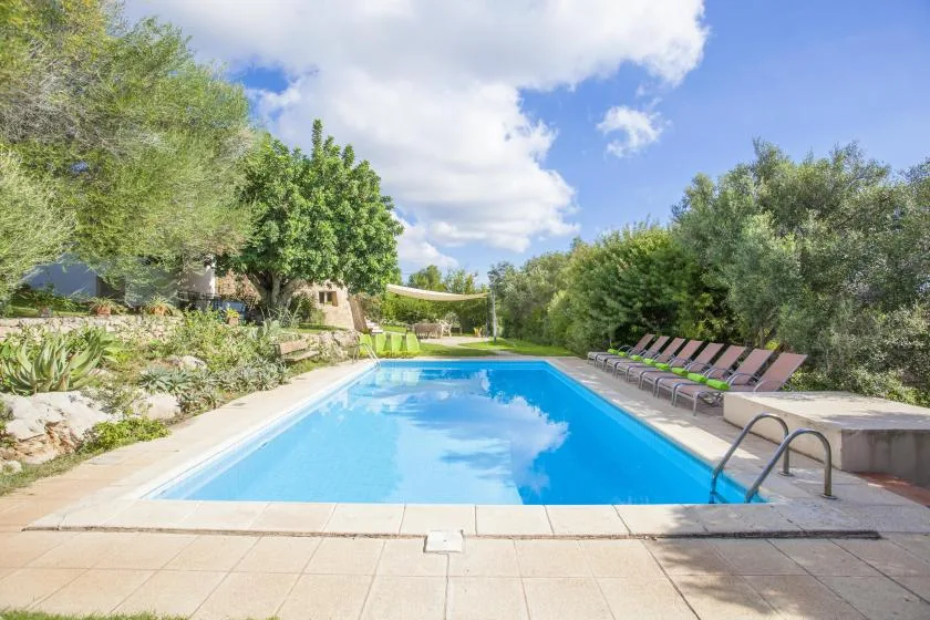 An outdoor swimming pool is surrounded by greenery and lounge seating.