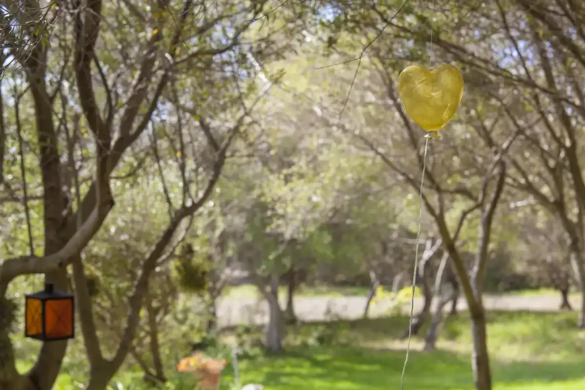 A wooded garden with a yellow balloon floating among the trees.