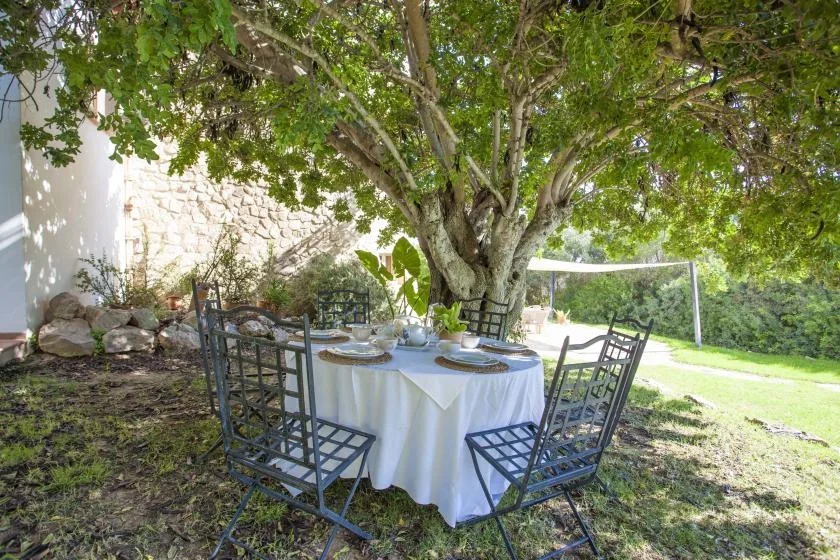 An outdoor dining table sits beneath a large leafy tree in a garden.