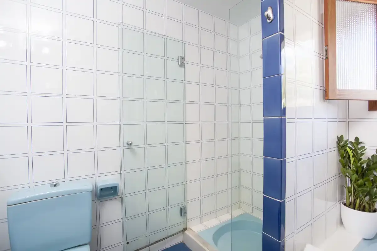 A tiled bathroom with a glass shower and a potted plant.