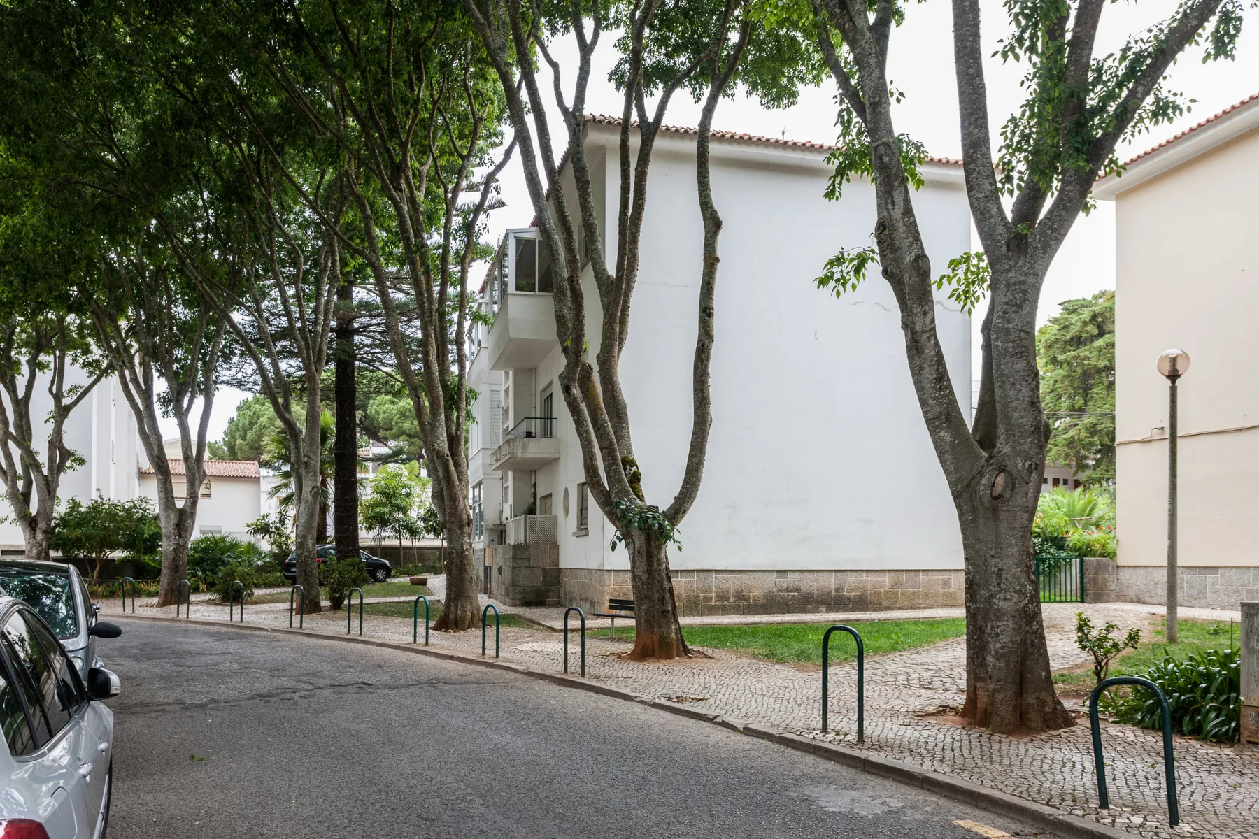Una calle arbolada junto a un edificio de apartamentos blanco.