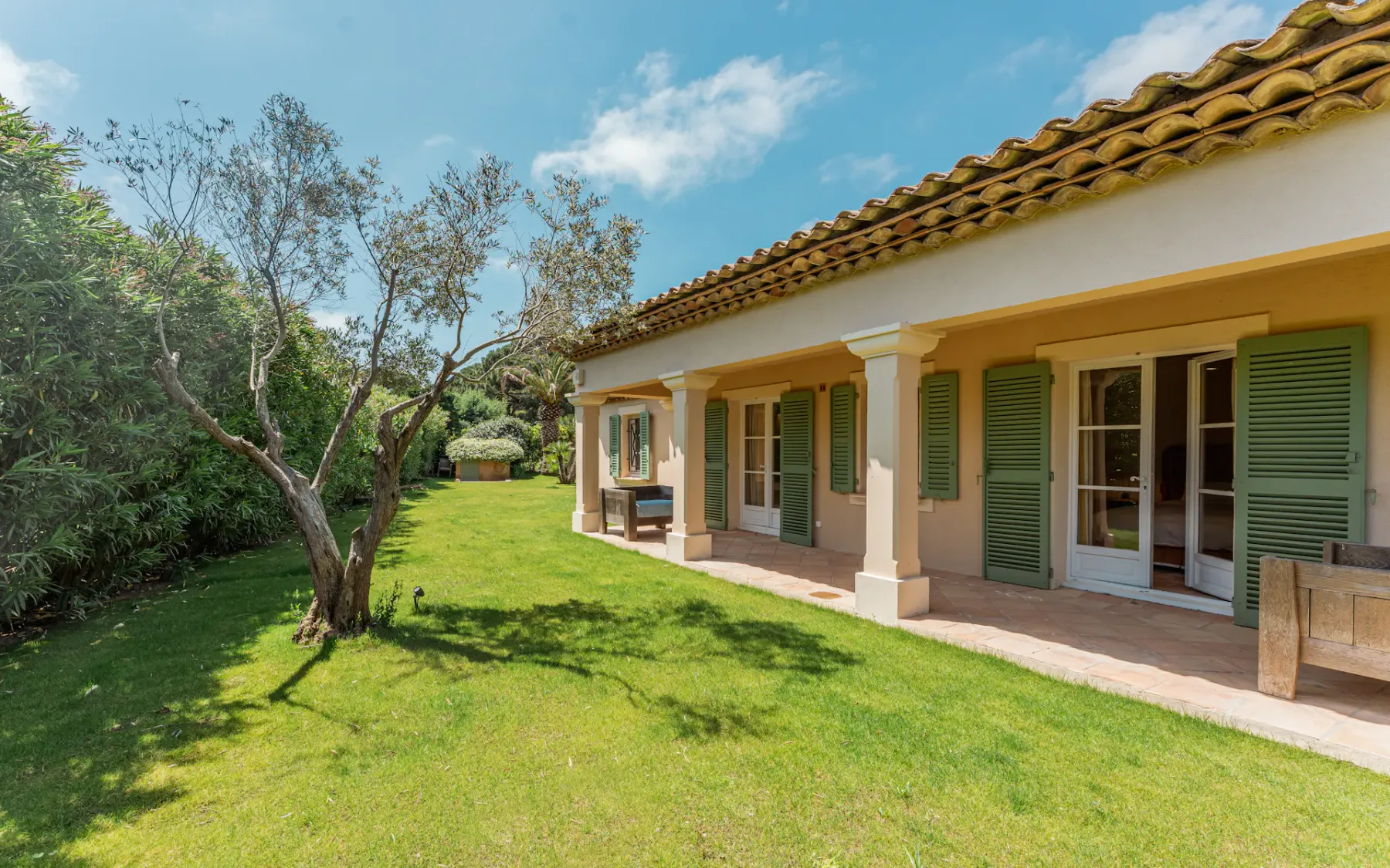Vista desde el jardín hacia la casa con un gran olivo