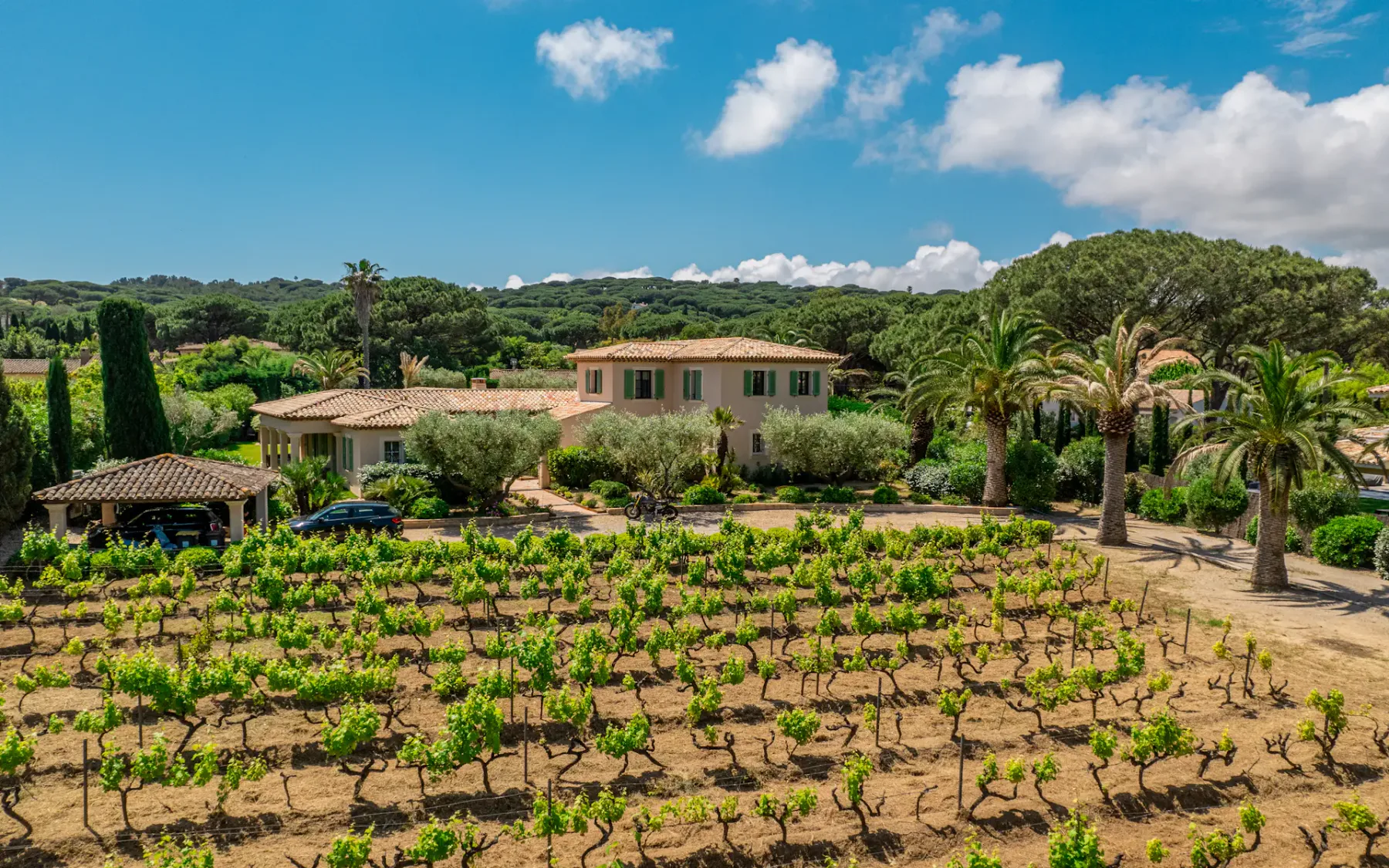 Vista de una finca con un pequeño viñedo en primer plano