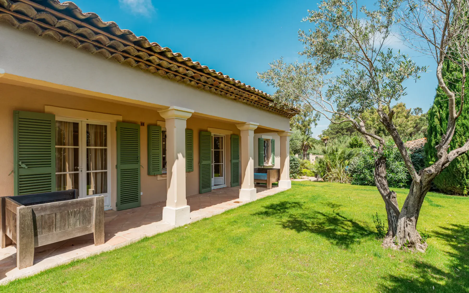 Vista de la casa desde el jardín con un olivo en el centro