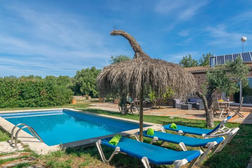 An outdoor pool area with blue loungers and a thatched shade canopy.