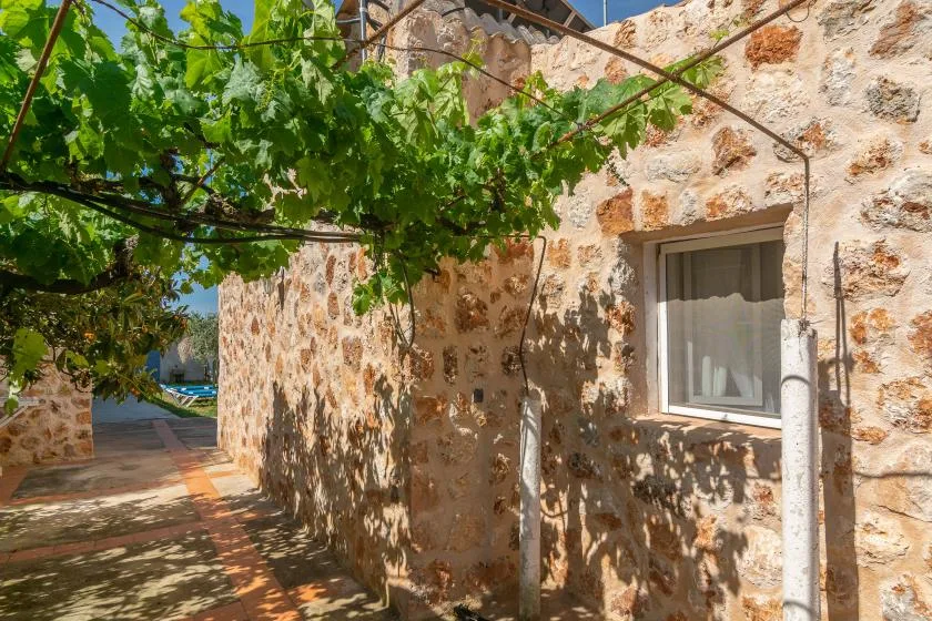 A stone courtyard walkway shaded by leafy vines, with a window in the wall.
