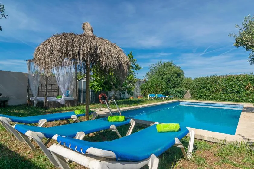 An outdoor swimming pool with blue loungers and a thatched shade canopy.