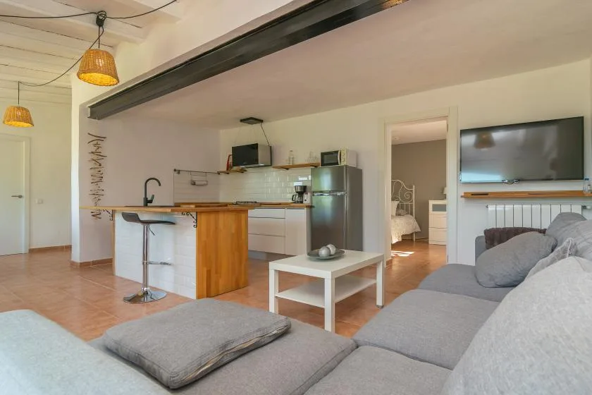 An open-plan living room and kitchen with a gray seating area and a dining bar.