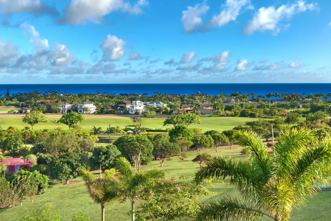 A green coastal landscape with scattered homes and the ocean beyond.