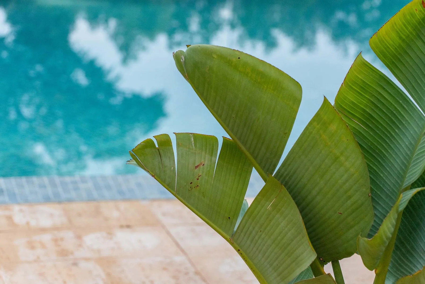Pool area