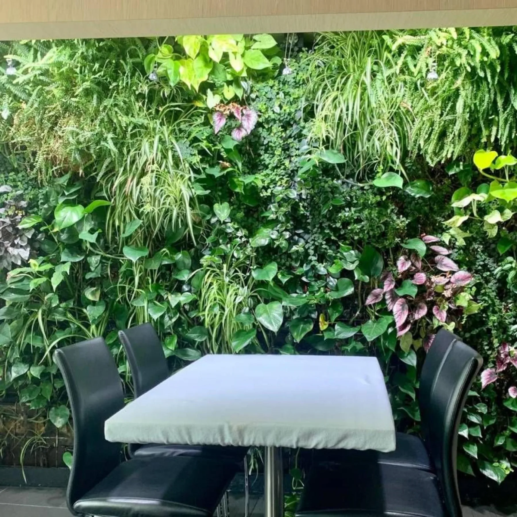Garden at the auberge