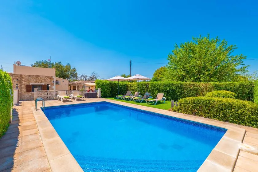 An outdoor swimming pool is surrounded by hedges and lounge seating.