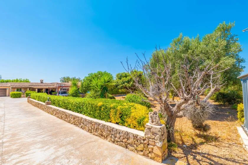 A paved driveway runs beside a low stone garden wall and landscaped greenery.
