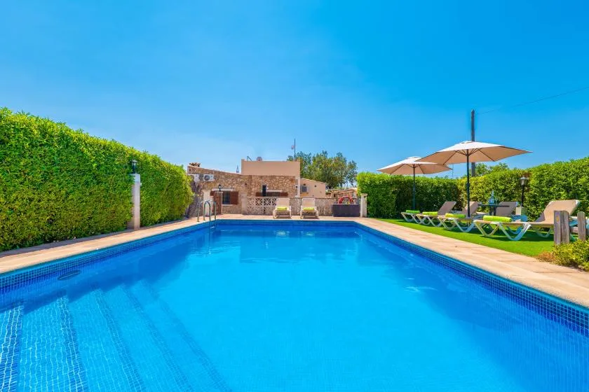 A swimming pool bordered by hedges, with lounge seating and an umbrella nearby.