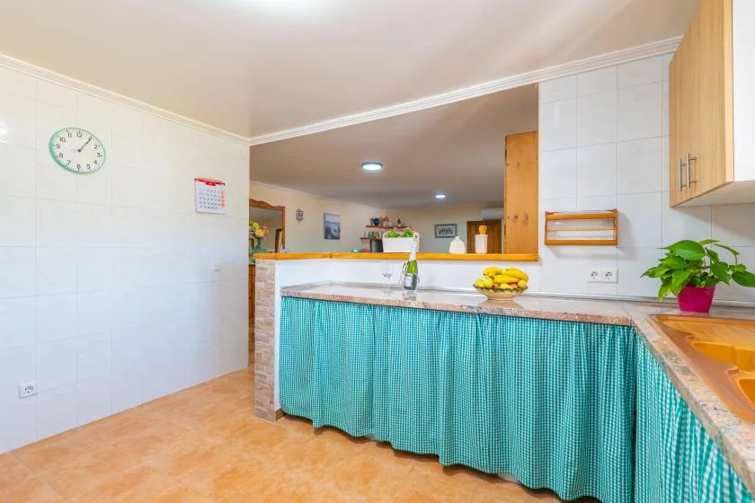 A kitchen counter with a turquoise curtain, fruit, and a potted plant.