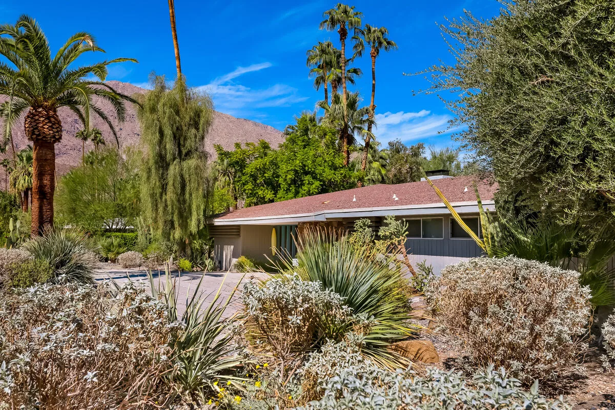 Palm Springs Perfection