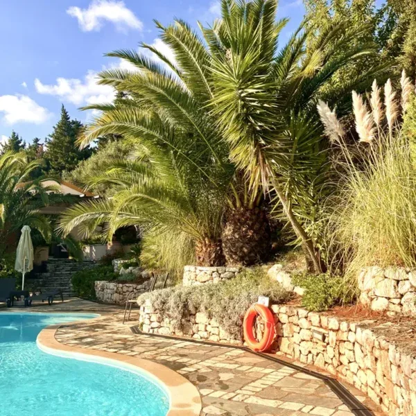 Around the pool