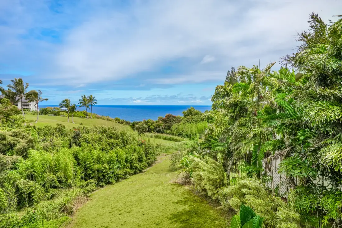 Un sendero de césped atraviesa una exuberante vegetación tropical, con el océano al fondo.