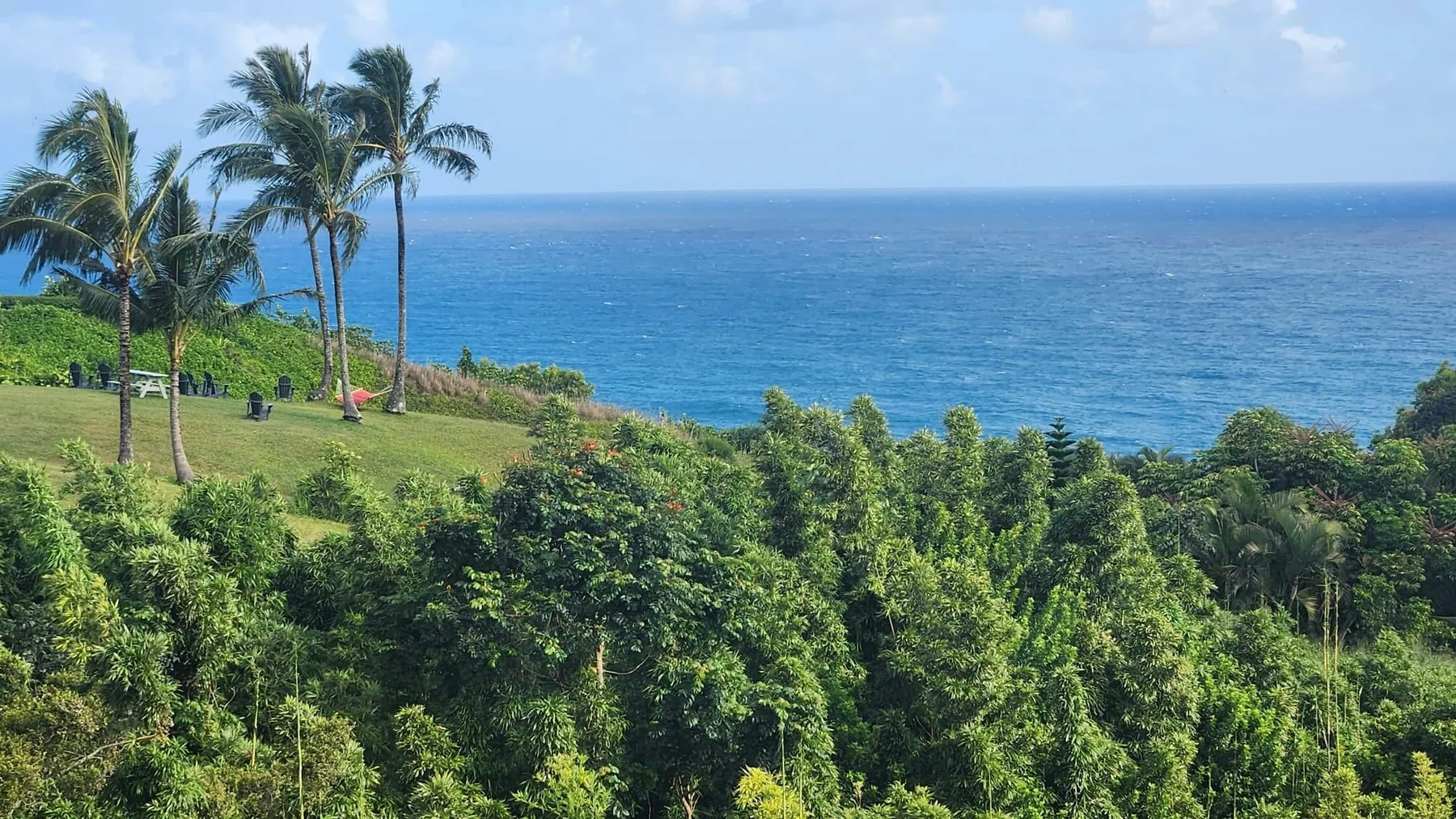 Wai Lani
