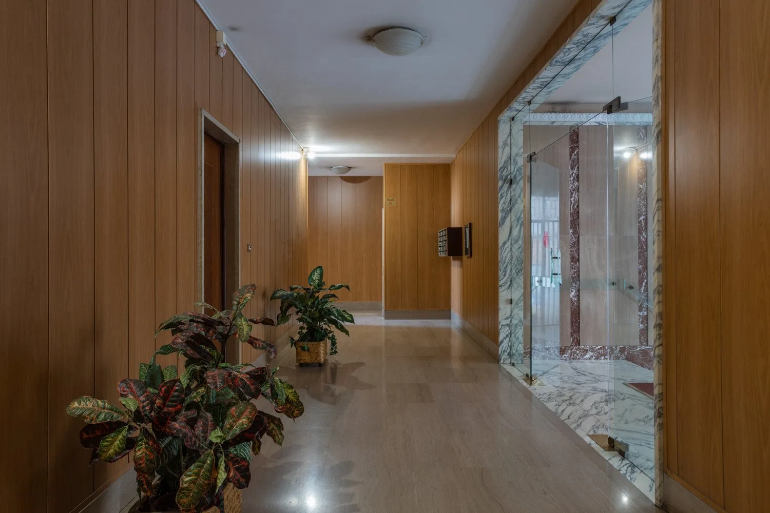 A wood-paneled hallway with potted plants and a glass-walled area.