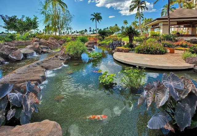 Un estanque ajardinado con rocas y plantas tropicales junto a un patio cubierto.
