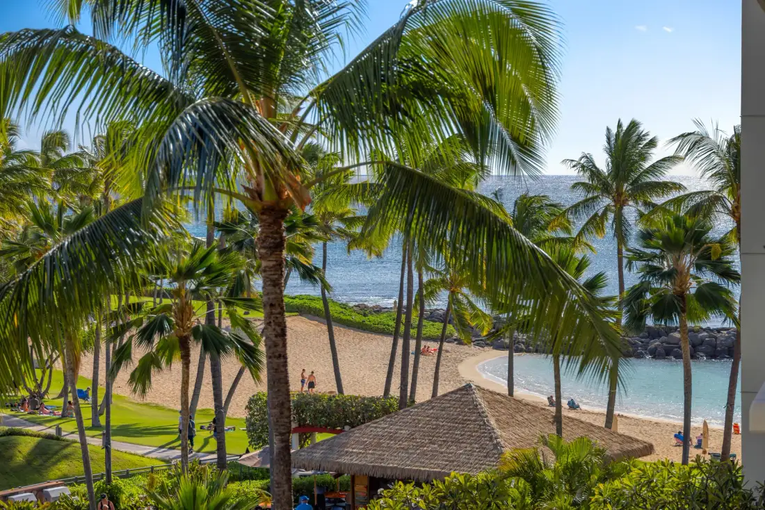 Una escena tropical junto a la playa, con palmeras, arena y un pabellón de techo de paja.