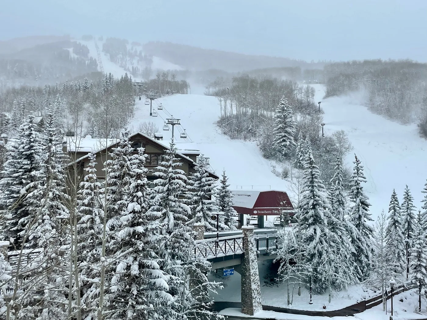A snowy ski slope winds through a forest of snow-covered trees.