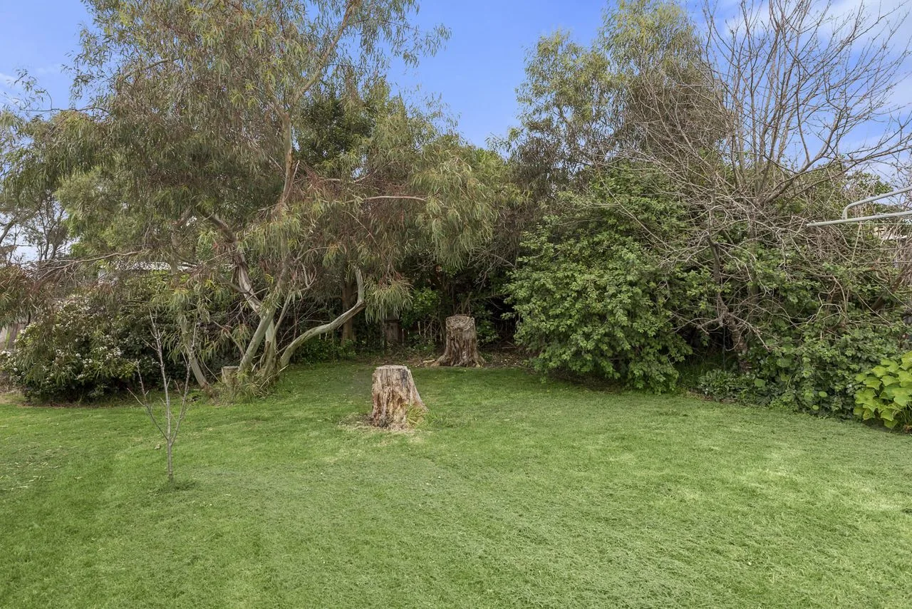 A grassy garden bordered by trees and shrubs.