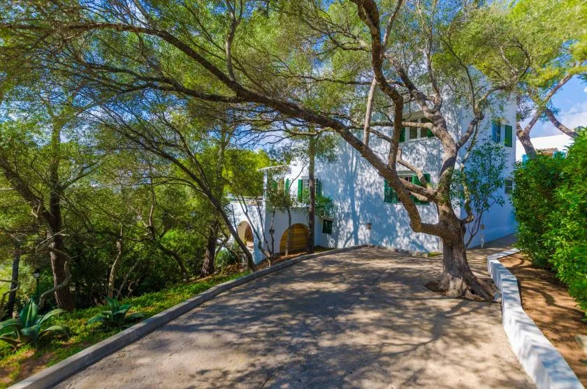 Un camino pavimentado y sombreado conduce a un edificio blanco entre árboles.
