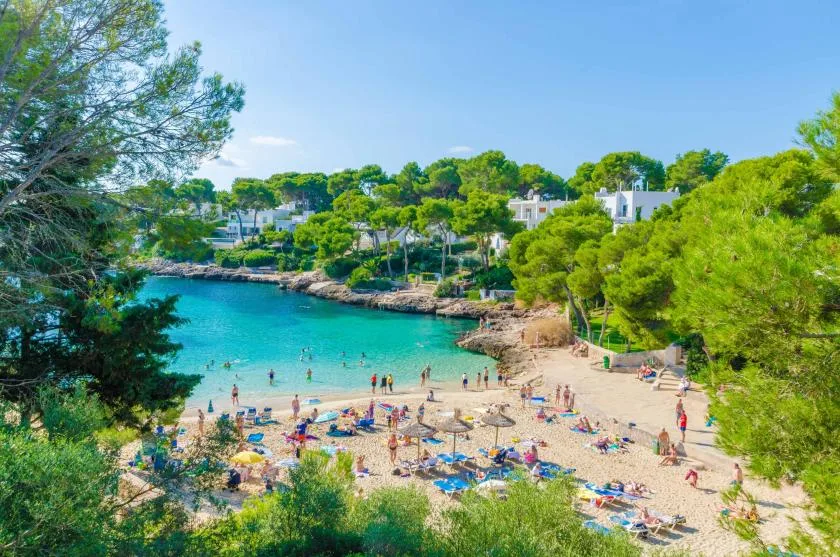 Una playa de arena bordea una cala turquesa bajo árboles verdes.
