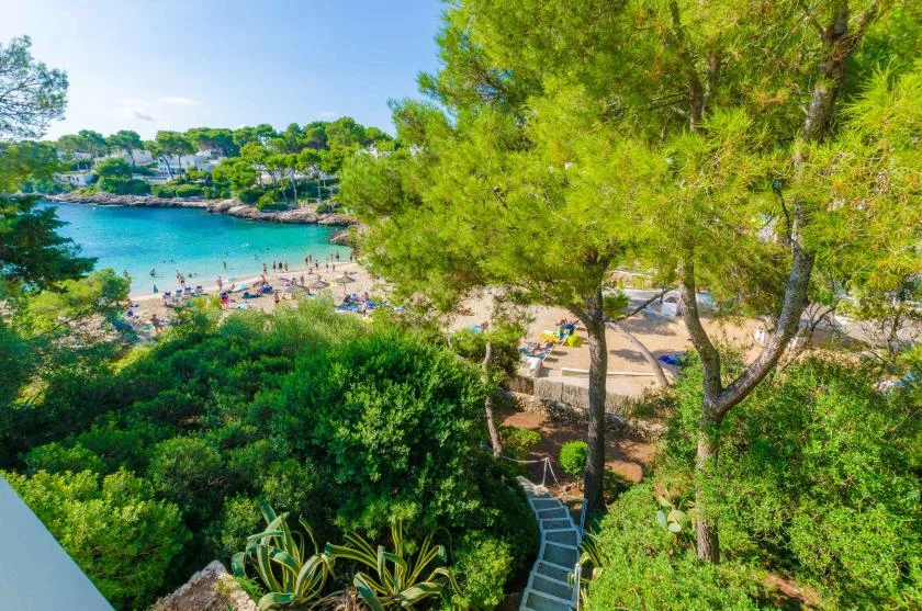 Una playa de arena y una bahía turquesa se ven más allá de los árboles y un sendero.
